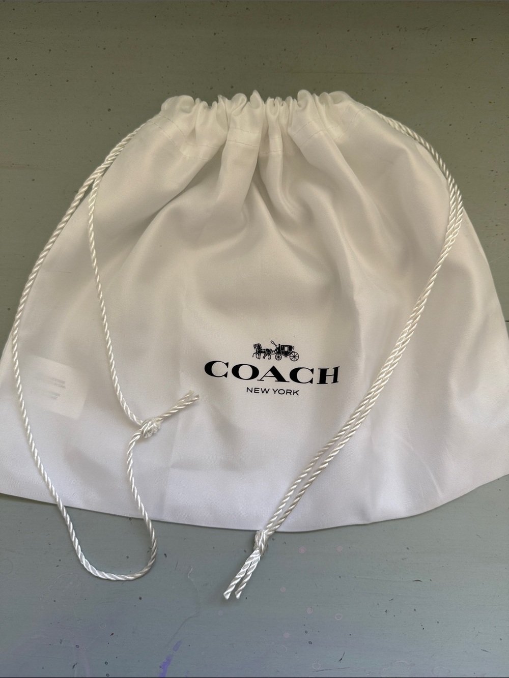 Coach White Drawstring Logo Dust Bag with Black Print